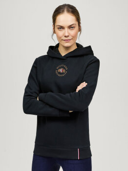 Tommy Hilfiger Hoodie GROVE desert sky