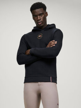 Tommy Hilfiger Hoodie GROVE desert sky