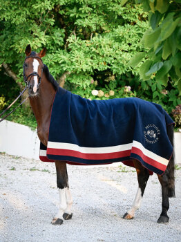 Tommy Hilfiger Fleecedecke HILLSDALE multi
