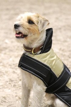 Manski Hundedecke TRIXIE, beige-schwarz