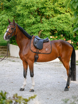 Boss Equestrian Dressurschabracke BOSS cappuccino