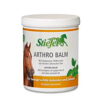 Stiefel Arthro Balm 1kg Dose