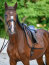 Boss Equestrian Fliegenohren BOSS cappuccino