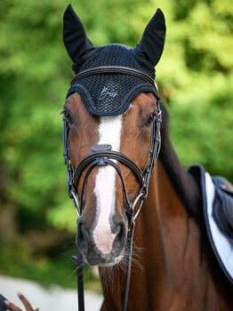 Boss Equestrian Fliegenohren GLITTER black