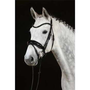 Hans Melzer Trense AACHEN schwarz/silber, schwarz unterlegt, Lack