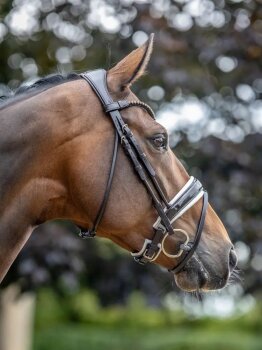 Le Mieux Kudos Trense Patent Dressage Bridle, brown/white