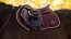Le Mieux Schabracke Loire Classic Colse Contact Square, L, damson, VS