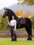 Le Mieux Schabracke Loire Classic Dressage Square, L, juniper, DR