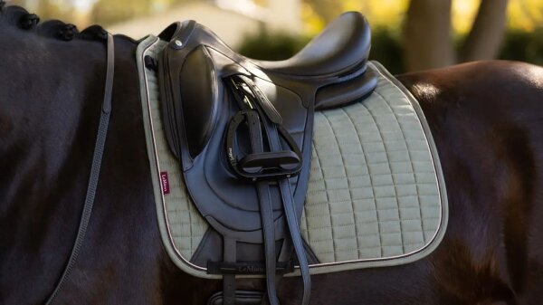 Le Mieux Schabracke Suede Dressage Square, L, rosemary, DR