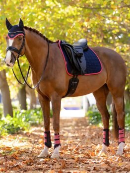 Le Mieux Schabracke Suede Dressage Square, L, navy/cranberry, DR