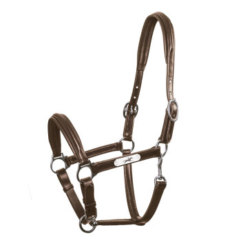 Schockemöhle Sports Lederhalfter ULM PRO brown/silver