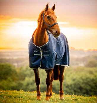 Horseware Weidedecke AMIGO RIPSTOP 900D Pony 50g, witney/navy