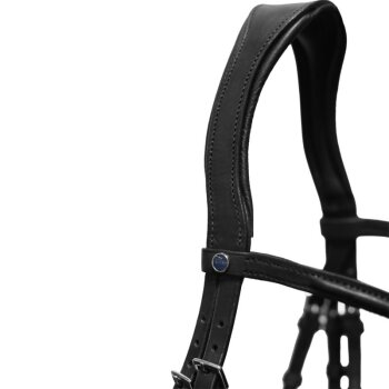 Stübben Trense PRO-JUMP mit Slide & Lock, kombiniertes Reithalfter, schwarz/schwarz