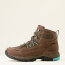 Ariat Damen Schuhe SKYLINE SUMMIT H²O, bitter brown/aqua