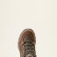 Ariat Damen Schuhe SKYLINE SUMMIT H²O, bitter brown/aqua
