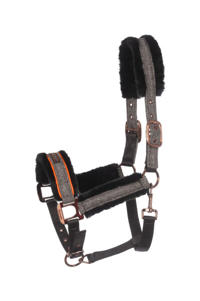 Cavallo Halfter CAVALLILLY espresso