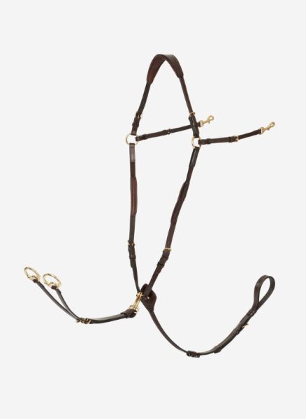 Le Mieux Vorderzeug D-Ring, havanna/brass