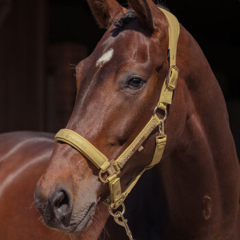 Eskadron Halfter FAUX LEATHER DOUBLE PIN (Heritage2025)...