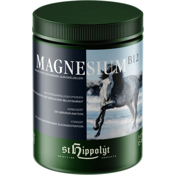 St.Hippolyt Magnesium B 12, 1 kg