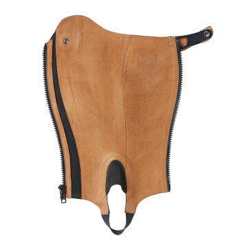 Ariat Close Contour Show Chap black ST