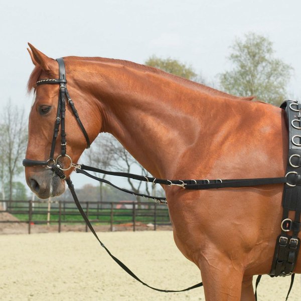 Busse Ausbindezügel OESEN-STARR schwarz WB