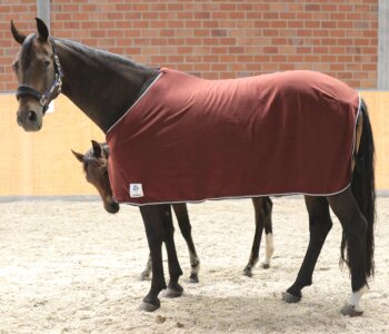 Manski Abschwitzdecke Fleece rusty red 155cm